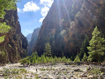 Panoramic view of trees and mountains against sky