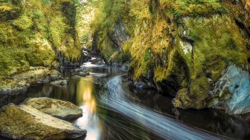 Stream flowing through rocks in forest