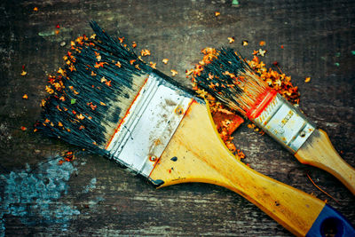 Old paintbrushes, lying outside all winter.  abandoned renovation.