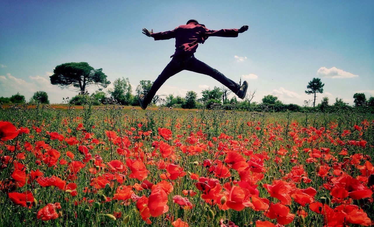 flower, red, sky, field, leisure activity, growth, lifestyles, full length, mid-air, plant, nature, park - man made space, tree, beauty in nature, landscape, freshness, clear sky, outdoors