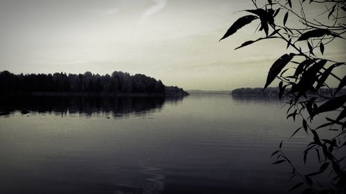 Reflection of trees in lake