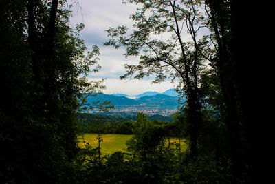 Scenic view of landscape against sky