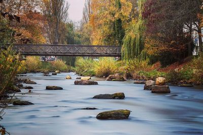 Bridge over river in forest during autumn