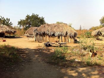 Panoramic view of trees on field against sky