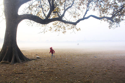 A little girl is running in foggy winter