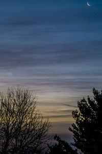 Low angle view of bare trees against sky