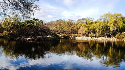 Scenic view of lake in forest against sky