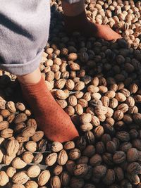 Low section of person holding pebbles