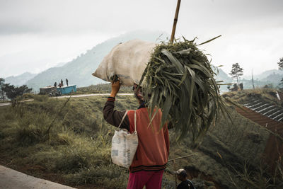 Rear view of man carrying plants on head while walking at roadside