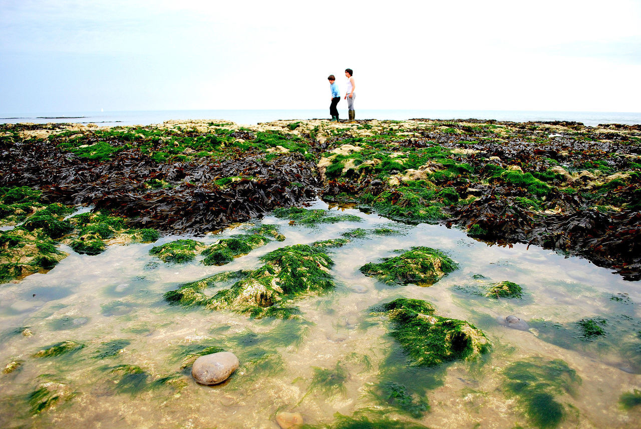 Big Rock pool foreground, children in distance