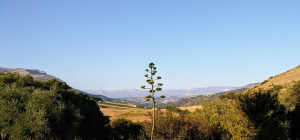 Scenic view of mountains against clear blue sky