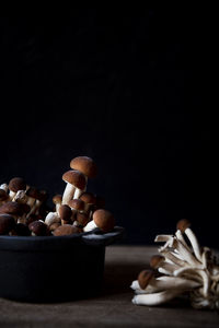 Closeup of mushrooms on black background 