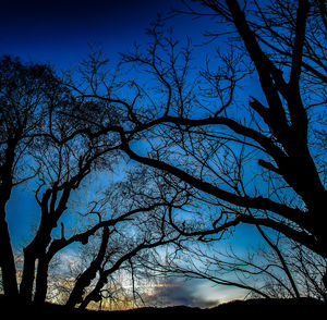 Low angle view of silhouette bare tree against sky