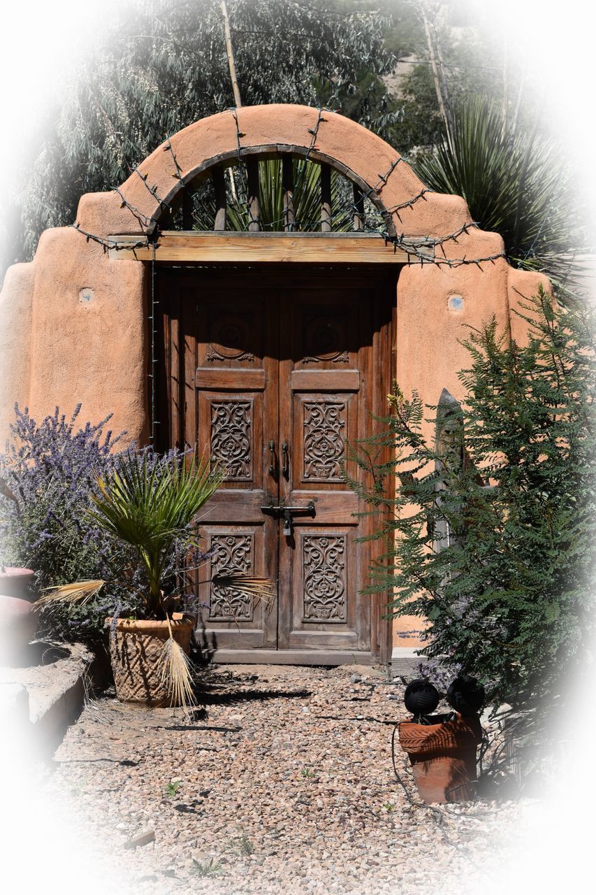 POTTED PLANTS ON BUILDING