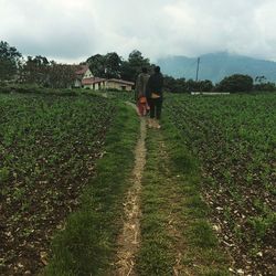 People walking on grassy field against cloudy sky