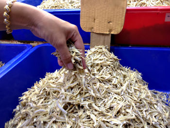 Cropped hand of woman holding dried fish at market stall