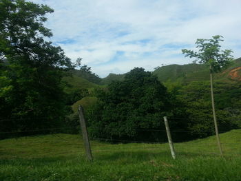 Scenic view of grassy field against sky