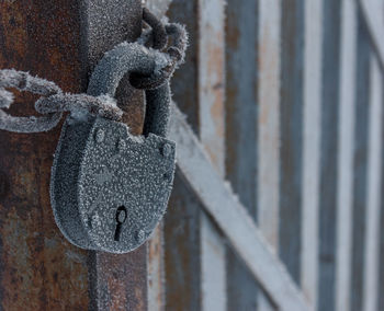 Close-up of padlock on metal gate