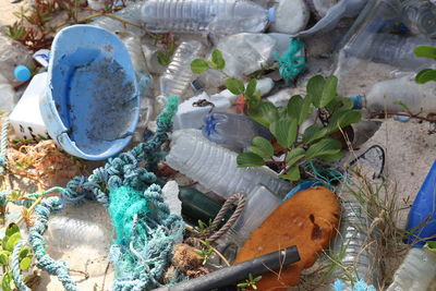 Close-up high angle view of leaves
