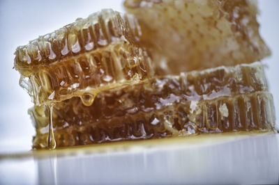 Close-up of ice cream in plate