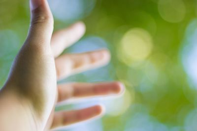 Close-up of hand on grass