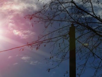 Low angle view of bare tree against cloudy sky