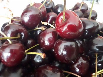 Close-up of grapes