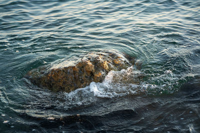 High angle view of wave splashing on rock