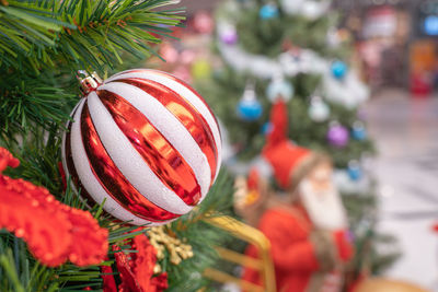 Close-up of christmas tree