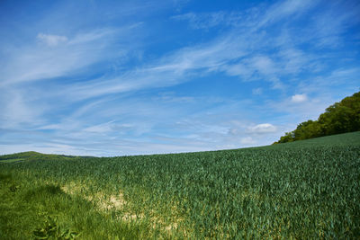 Scenic view of landscape against cloudy sky