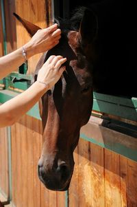 Midsection of person with hand in stable