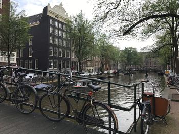 Bicycles parked by tree in city against sky