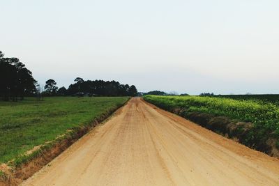 Scenic view of agricultural field against clear sky