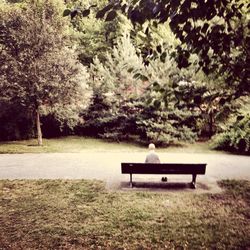 Empty bench in park