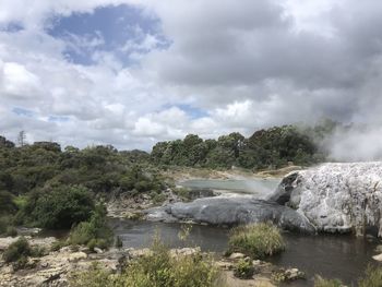 Scenic view of river amidst trees against sky