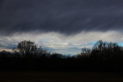 Silhouette trees on field against sky