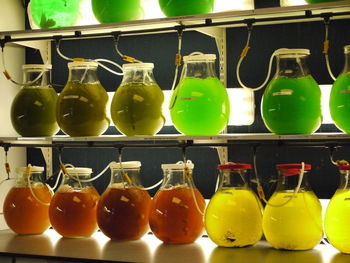 Full frame shot of vegetables