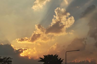 Low angle view of silhouette trees against sky during sunset