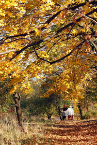 Rear view of people walking on plants during autumn