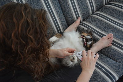 High angle view of mid adult woman grooming dog on sofa at home