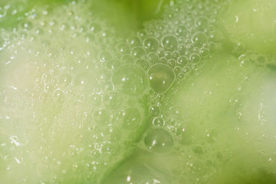 Loofah soup close-up with tasty bubbles