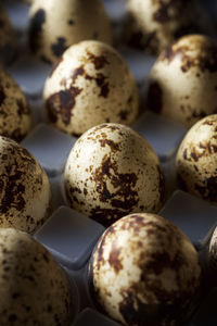 Quail eggs in a plastic box.