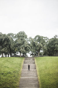 Aerial view of young man moving down on staircase against trees and sky