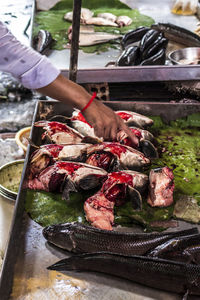 Hand holding vegetables
