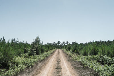 Dirt road on field against clear sky