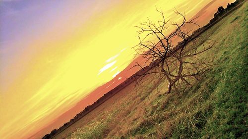 Scenic view of landscape against sky at sunset