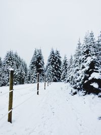 Scenic view of snow covered landscape
