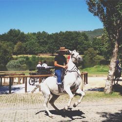 Men and horse cart against trees