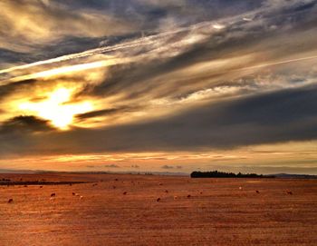 Scenic view of landscape against cloudy sky