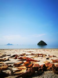 Rocks on beach against blue sky